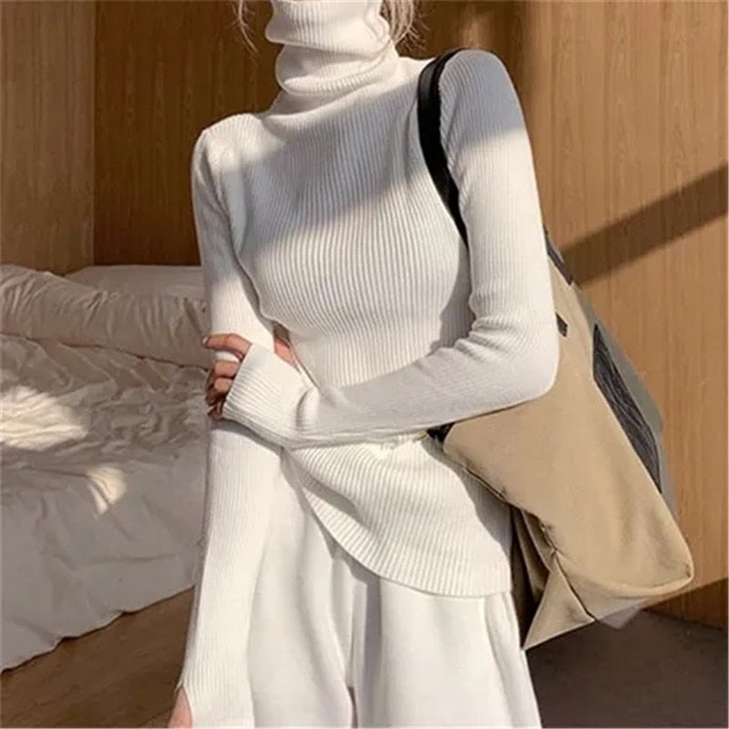 Women's Ribbed Roll Neck Jumper