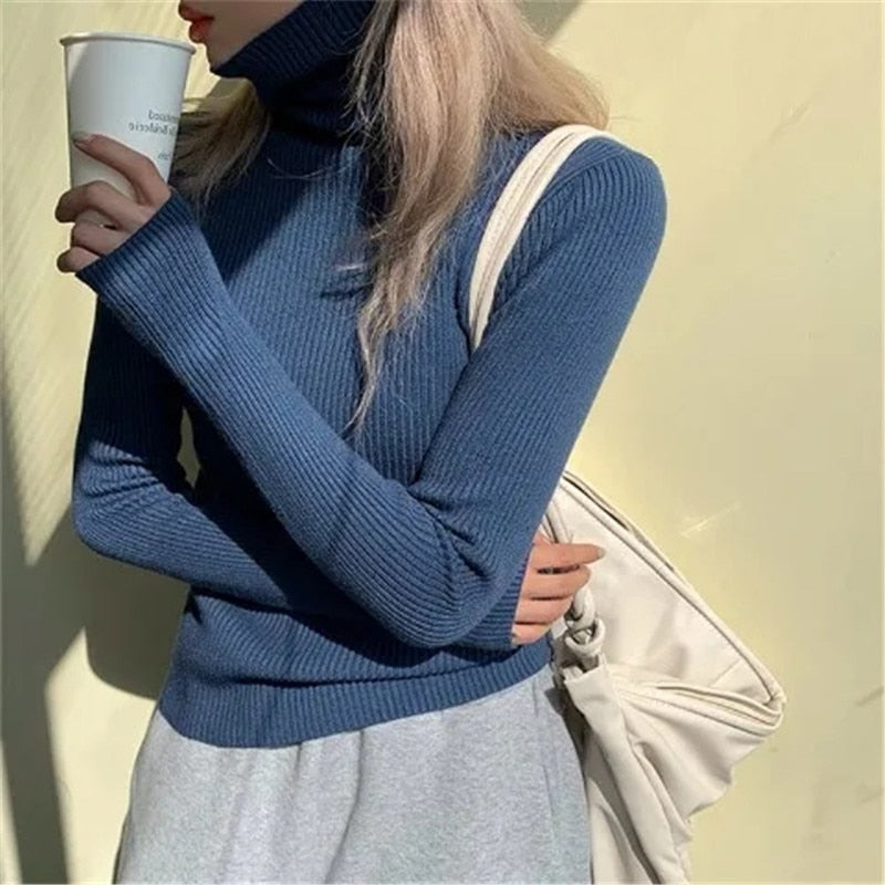 Women's Ribbed Roll Neck Jumper