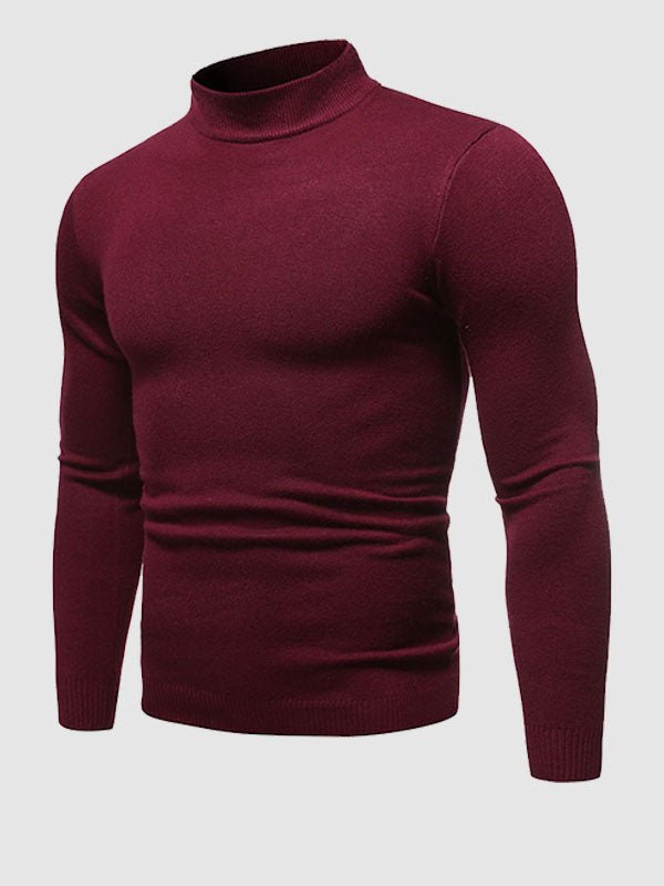 Men's Slim Fit Roll Neck Jumper